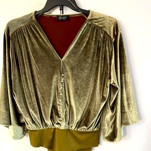 Green velvet Zara top